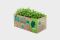 Nachhaltige Silphie-Verpackungen von OutNature bei Lidl. Foto: OutNature